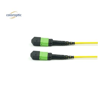 Cordão de remendo de modo único óptico passivo MPO-12 / APC-A-MPO12 / APC