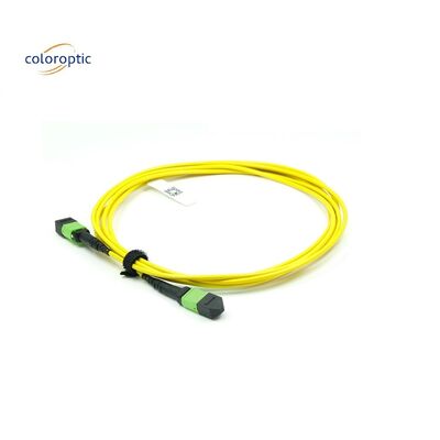 OM3 MPO Patch Cord 12 Core Aqua Fiber Optic Connector para rede eficiente