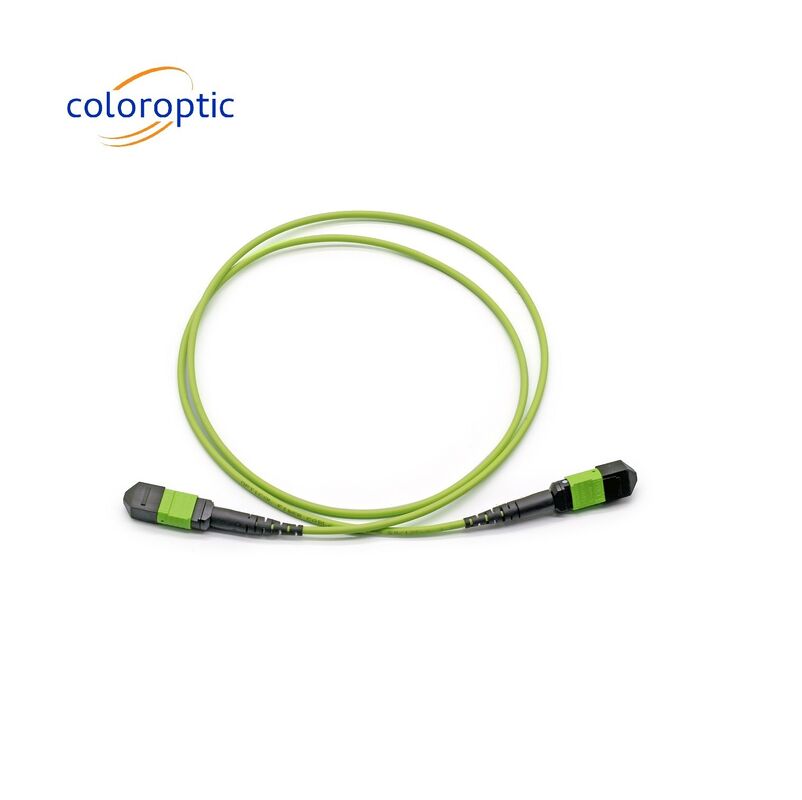 Conector MTP de modo único MTP Patch Cord MTP G652D / G657A1 / G657A2 Fibra