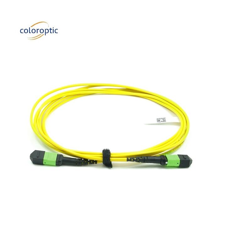 Cordão de remendo de modo único óptico passivo MPO-12 / APC-A-MPO12 / APC